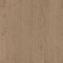 Maple-Wren-New