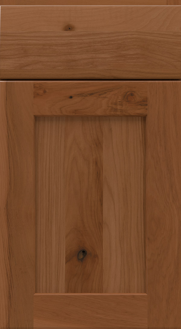 dover_rustic_hickory_shaker_cabinet_door_terrain