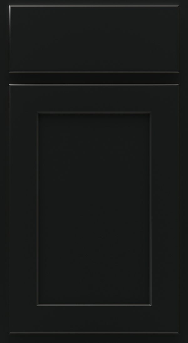 arbor_maple_shaker_style_cabinet_door_onyx